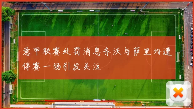 意甲联赛处罚消息齐沃与萨里均遭停赛一场引发关注